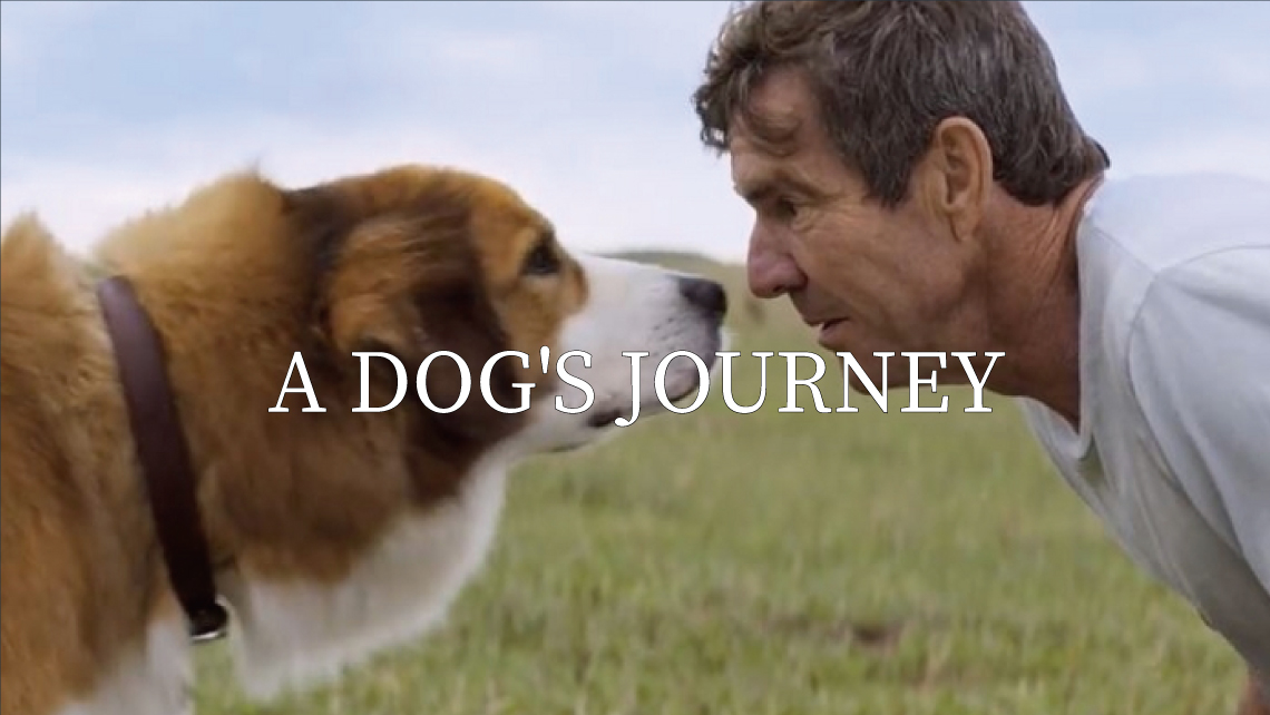 A DOG'S JOURNEY