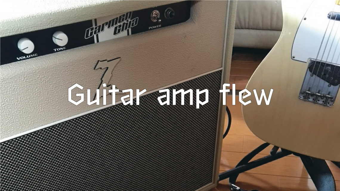 Guitar amp flew