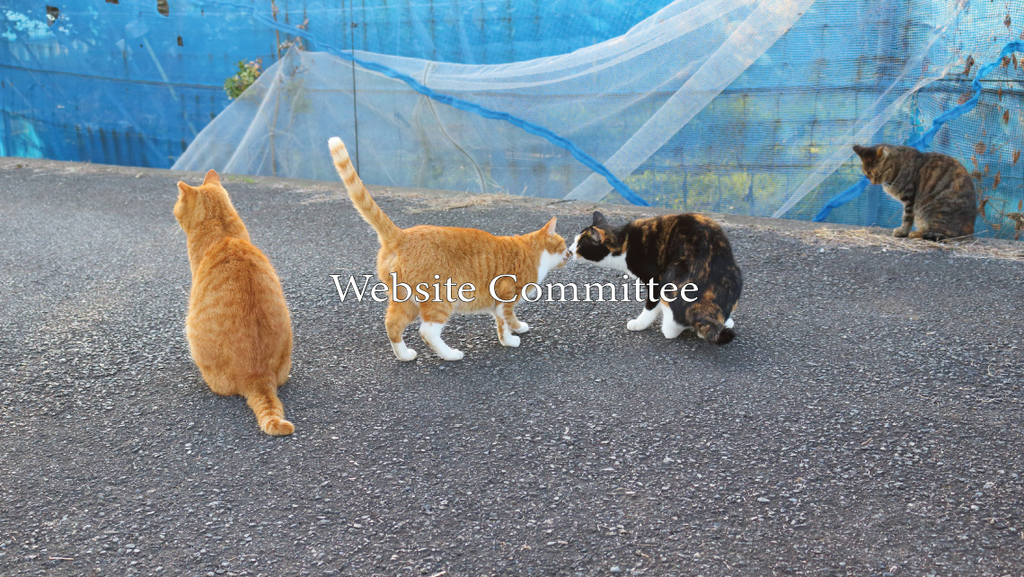 Website Committee