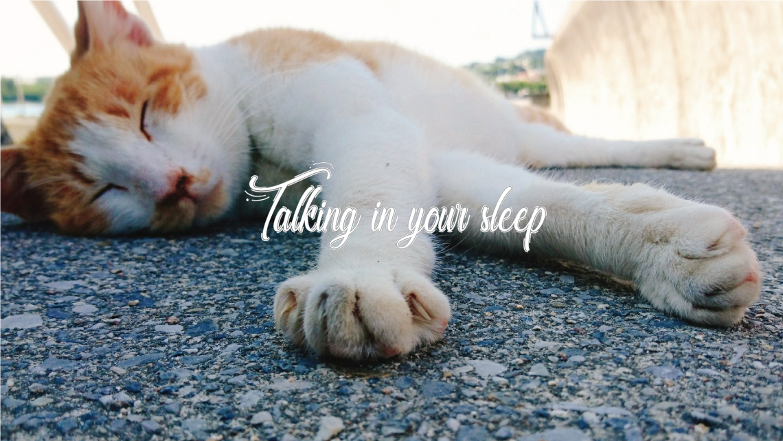 Talking in your sleep