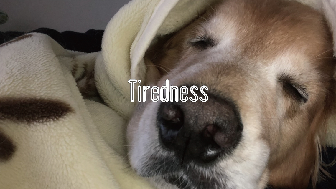 Tiredness
